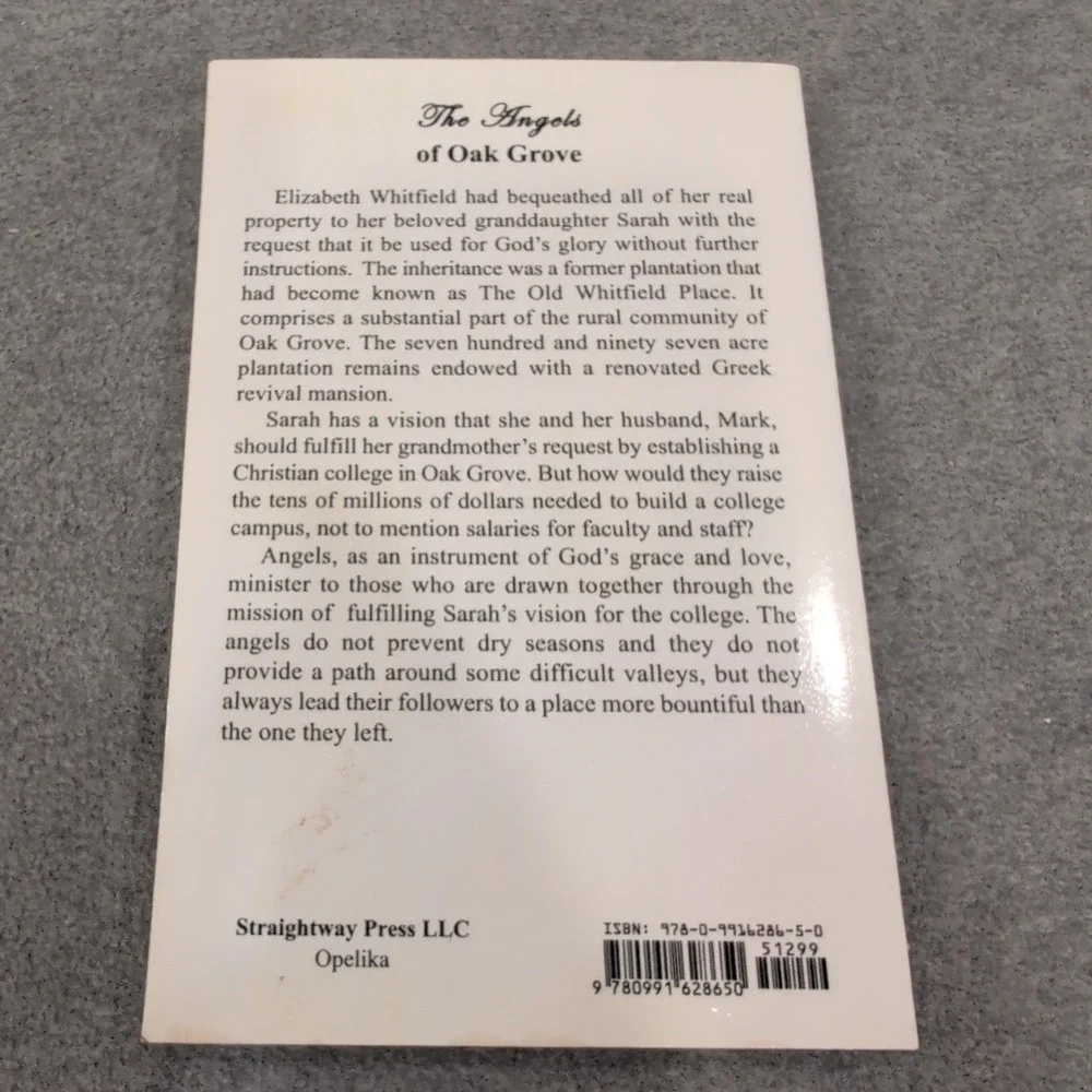 The Angels of Oak Grove Paul Hill Christian Fiction Paperback 2016 9780991628650 - Picture 2 of 4
